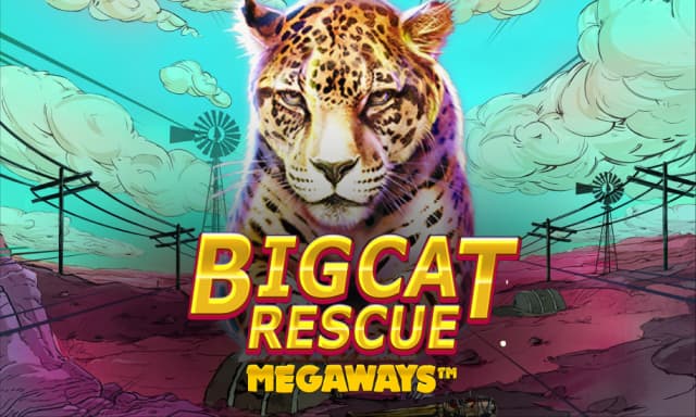 Big Cat Rescue 